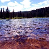 Review photo of Gifford Pinchot National Forest Cultus Creek Campground by Amelia L., July 23, 2021