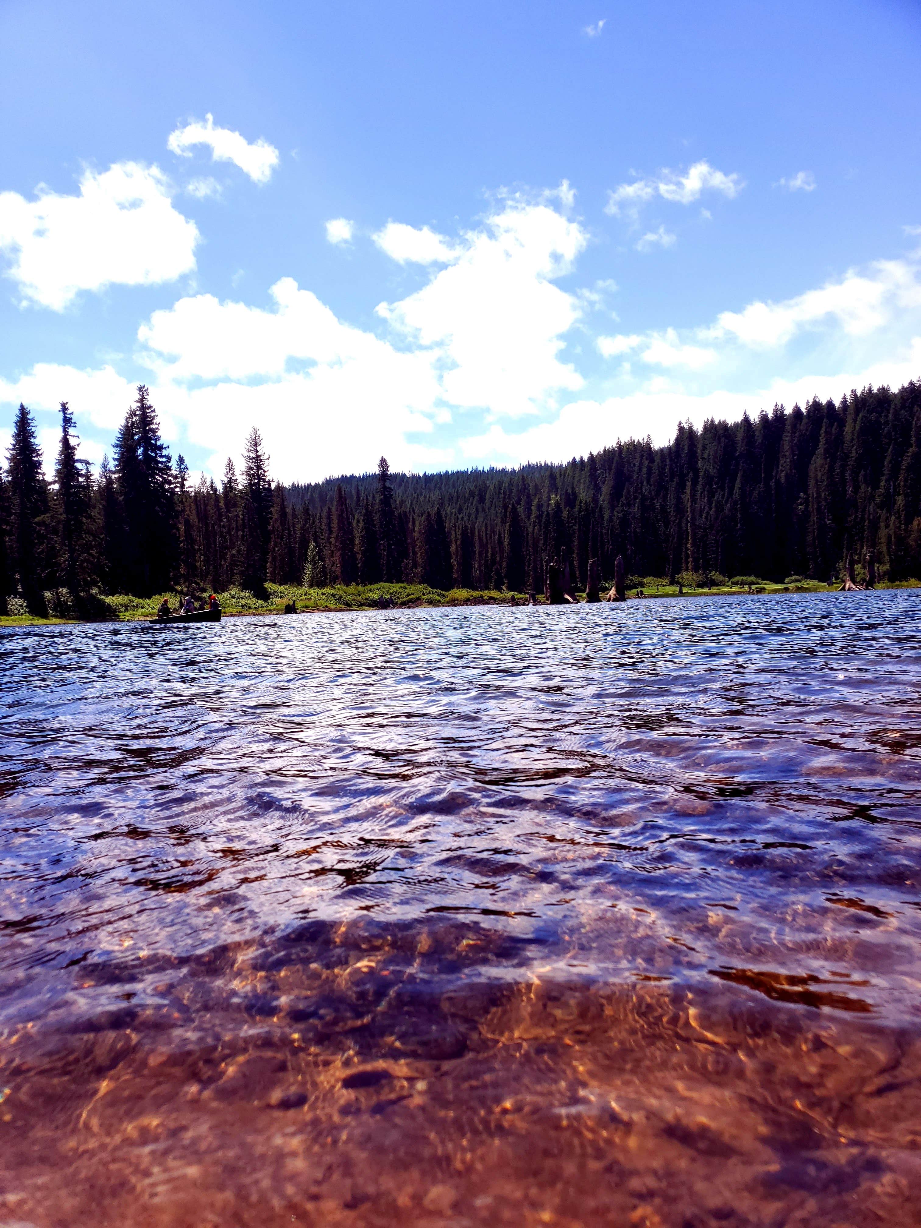 Camper submitted image from Gifford Pinchot National Forest Cultus Creek Campground - 3