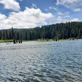 Review photo of Gifford Pinchot National Forest Cultus Creek Campground by Amelia L., July 23, 2021