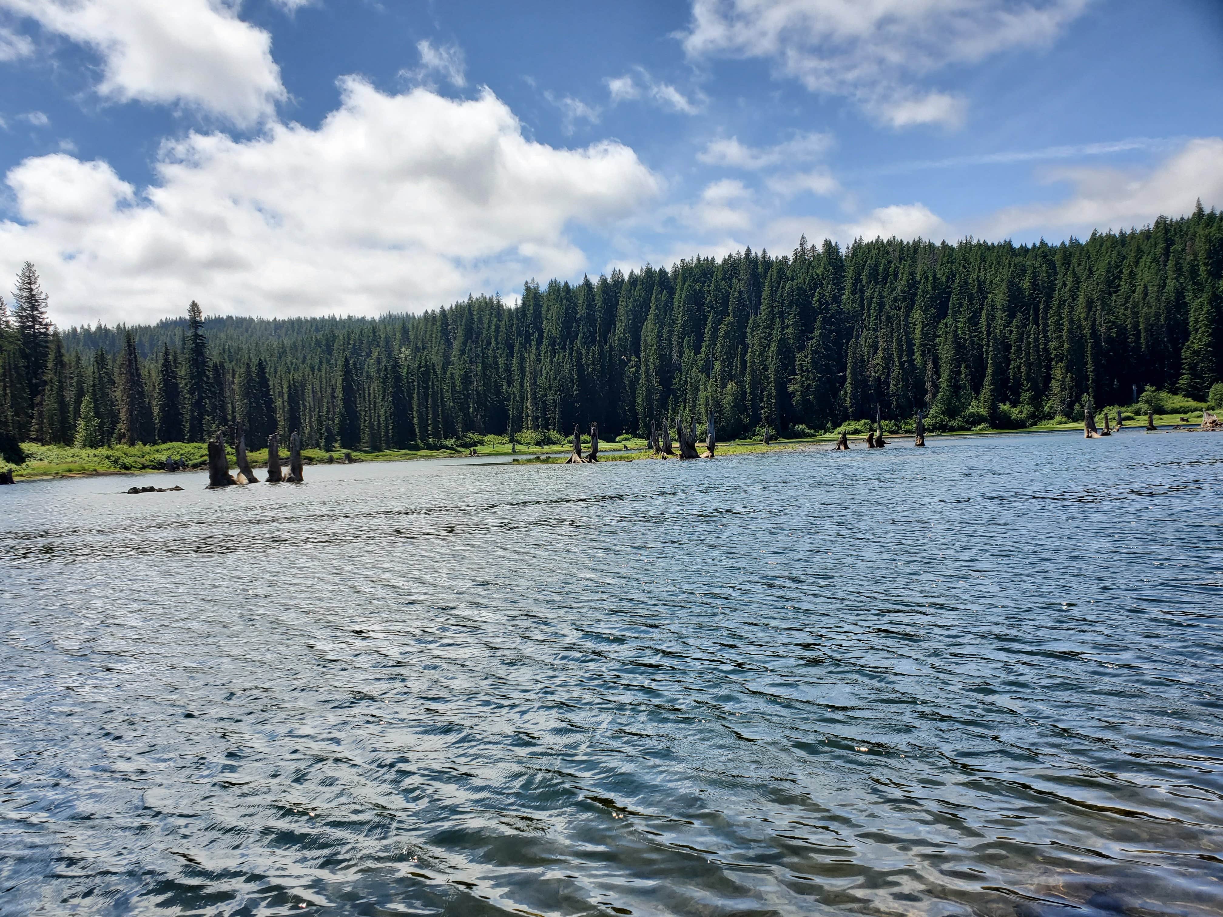 Camper submitted image from Gifford Pinchot National Forest Cultus Creek Campground - 2