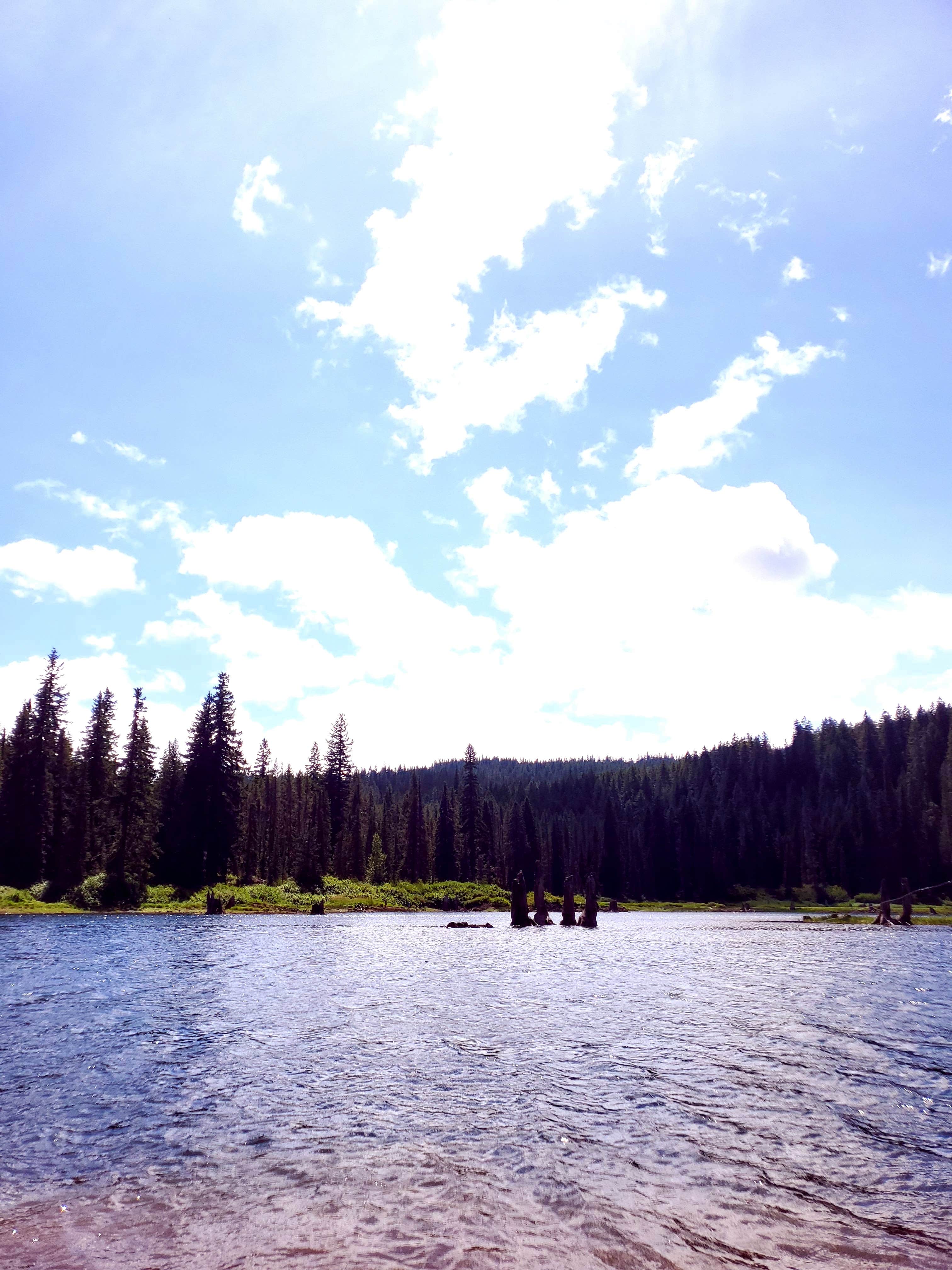 Camper-submitted photo at Gifford Pinchot National Forest Cultus Creek Campground near Gifford Pinchot National Forest