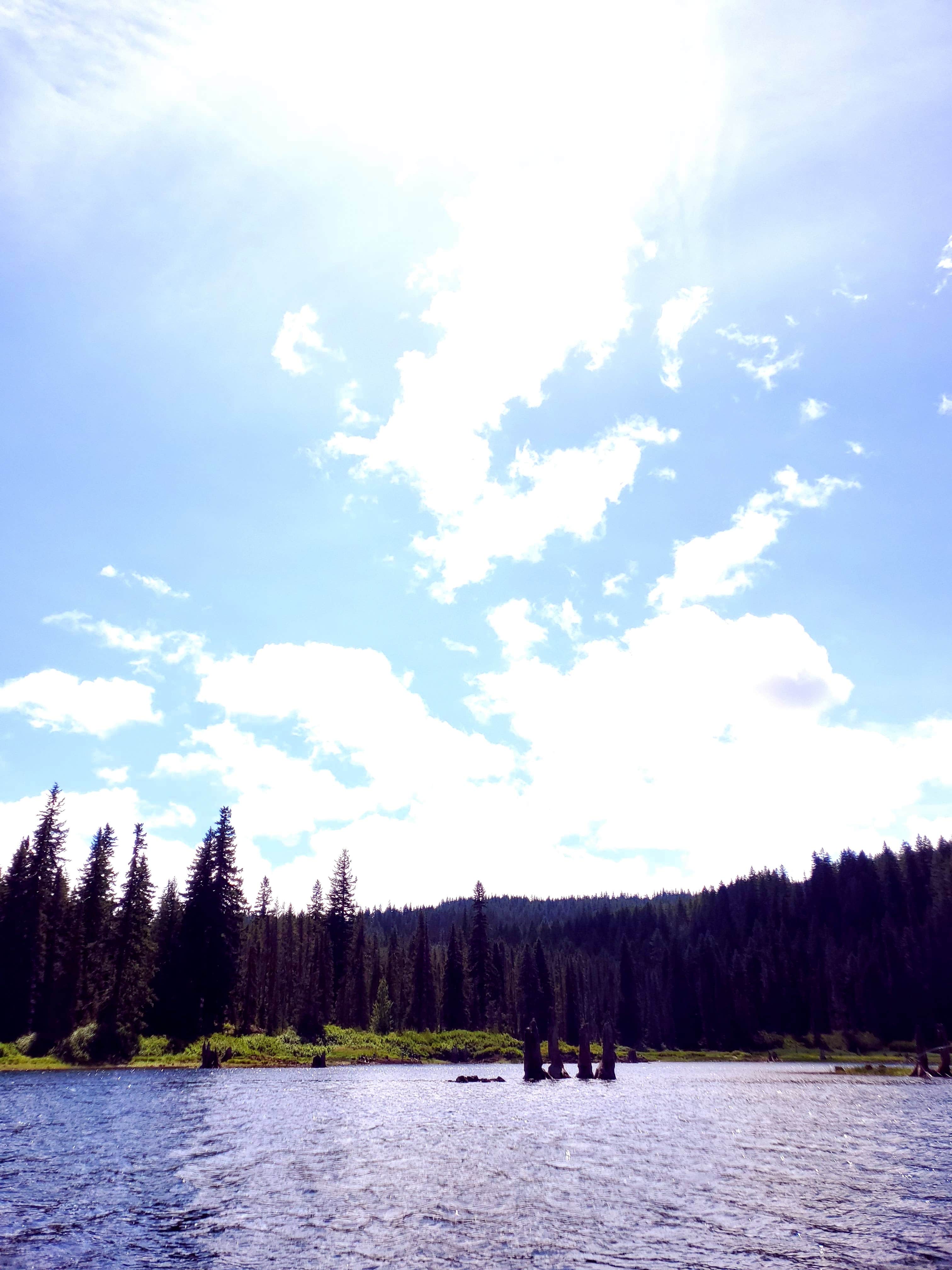 Camper-submitted photo at Gifford Pinchot National Forest Cultus Creek Campground near Gifford Pinchot National Forest