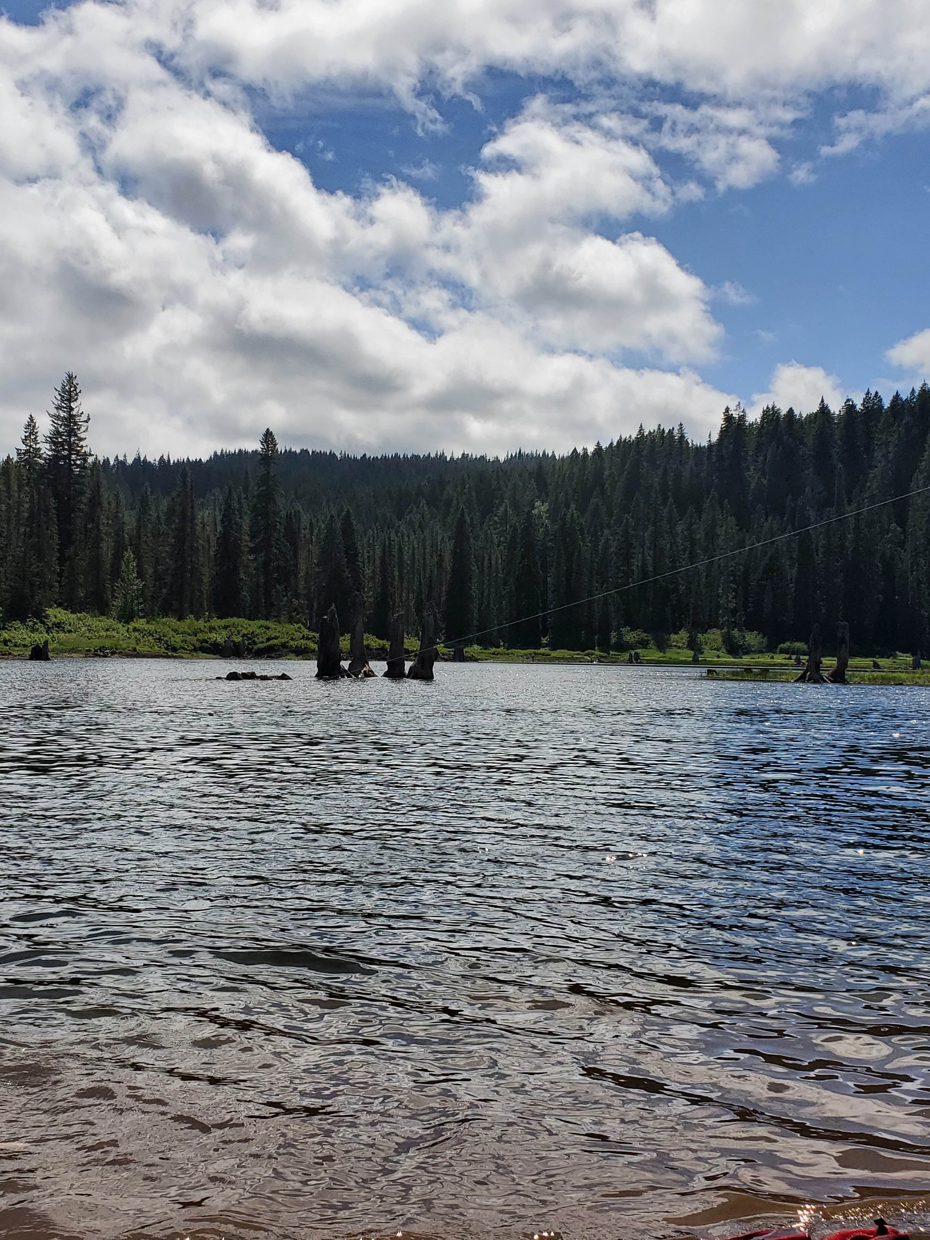 Camper-submitted photo at Gifford Pinchot National Forest Cultus Creek Campground near Gifford Pinchot National Forest