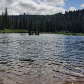 Review photo of Gifford Pinchot National Forest Cultus Creek Campground by Amelia L., July 23, 2021