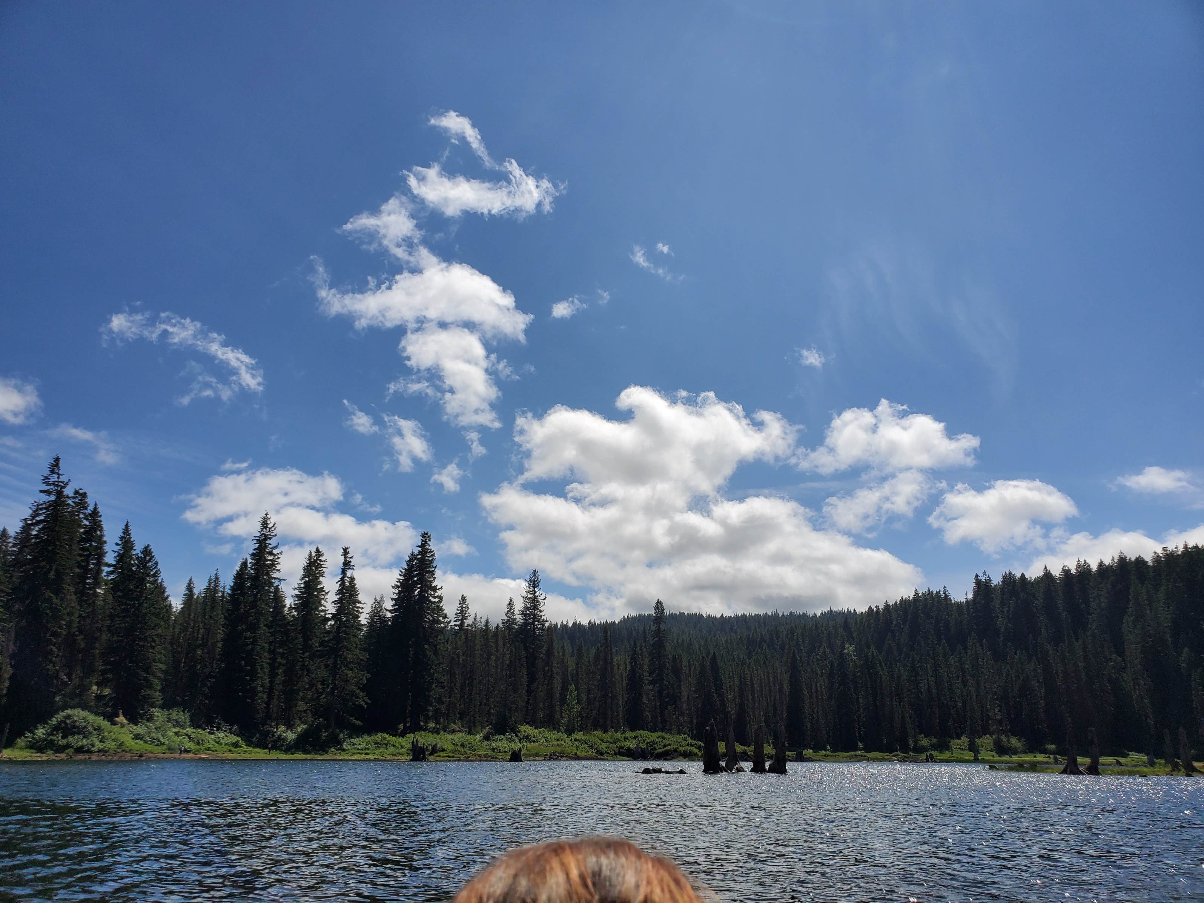 Camper submitted image from Gifford Pinchot National Forest Cultus Creek Campground - 4