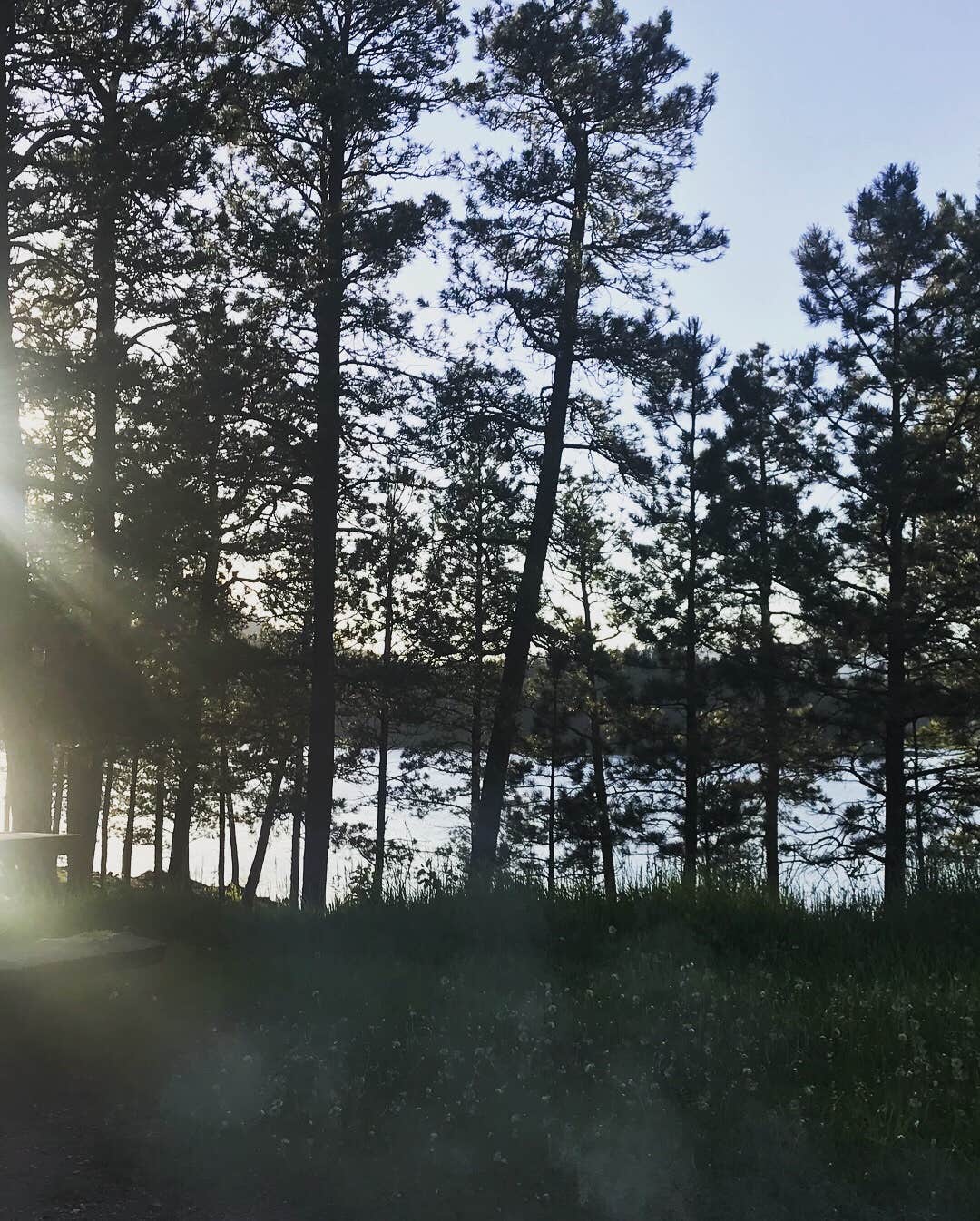 Camper-submitted photo at Sheridan Lake South Shore Campground near Black Hills National Forest