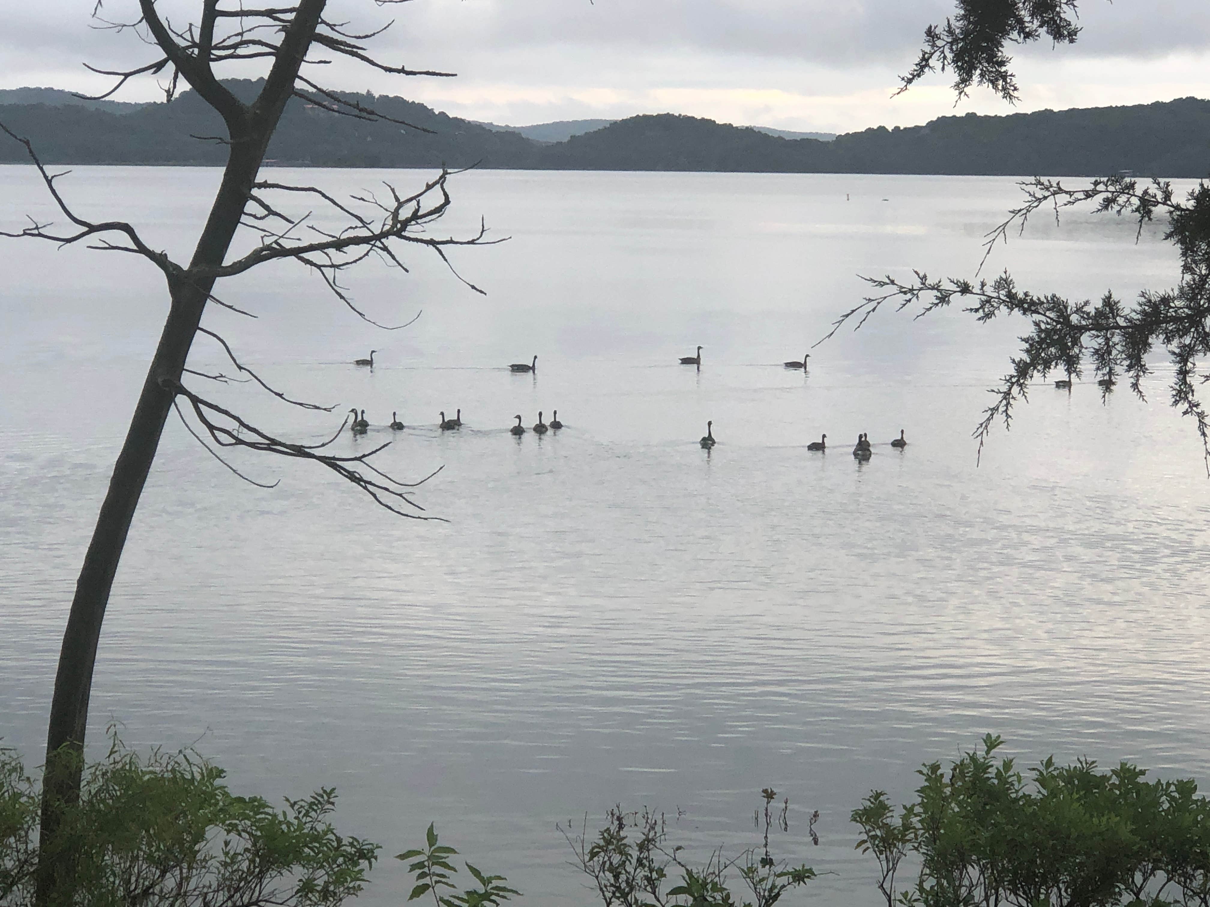 Camper-submitted photo at Horseshoe Bend Recreation Area & Campground near Cave Springs, AR