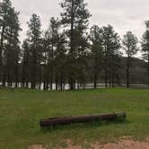 Review photo of Sheridan Lake South Shore Campground by Erik J., June 15, 2018