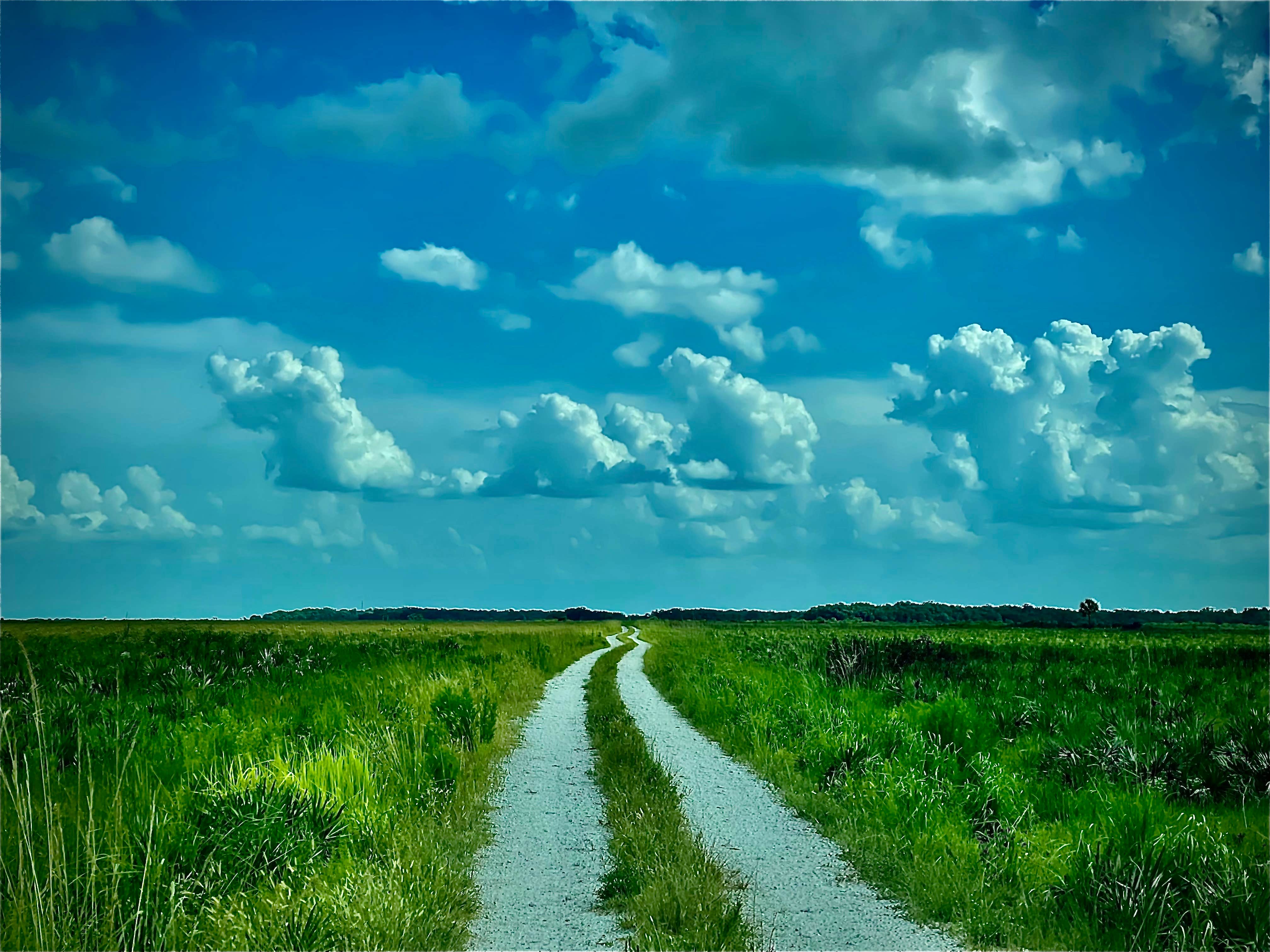 Camping near The Harbor Waterfront Resort: Coleman Landing at Shady Oaks, Lakeshore, Florida
