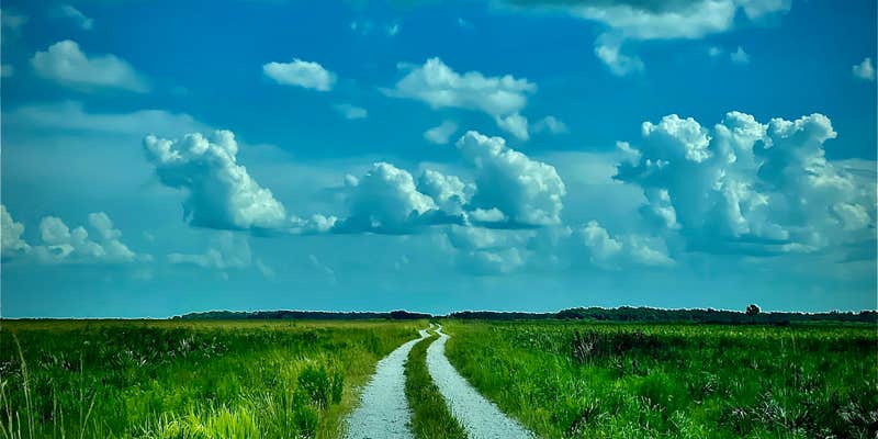 Camper submitted image from Coleman Landing at Shady Oaks