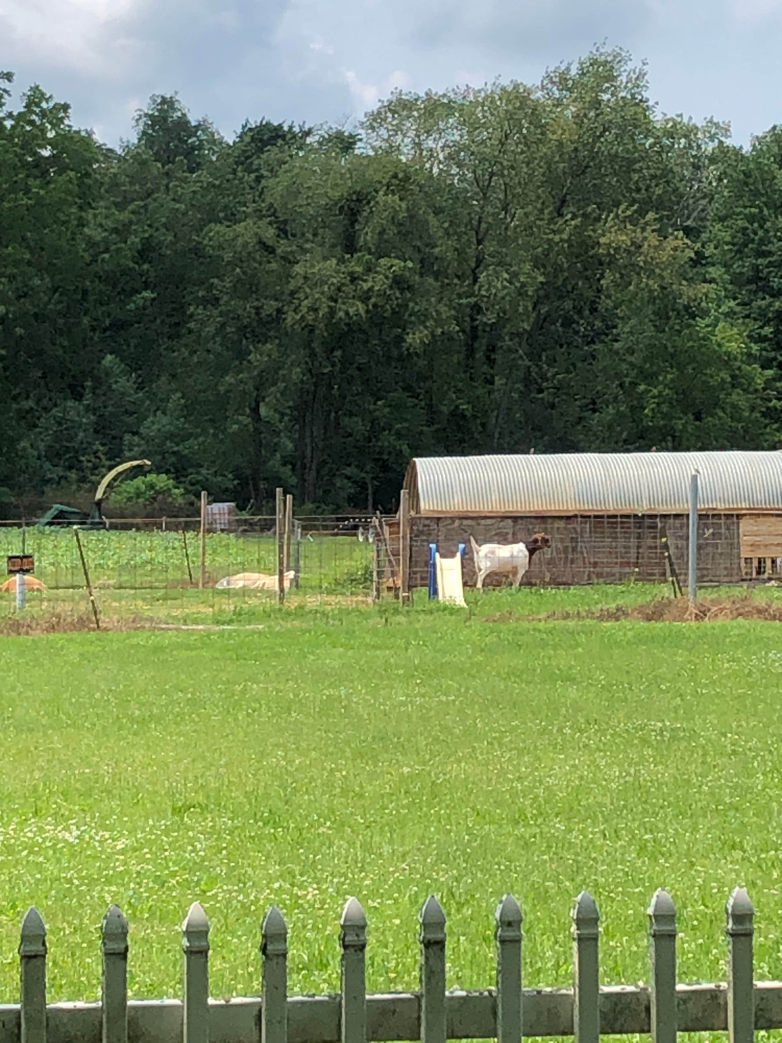 Camper-submitted photo at Moscow Maples RV Park near Jerome, MI