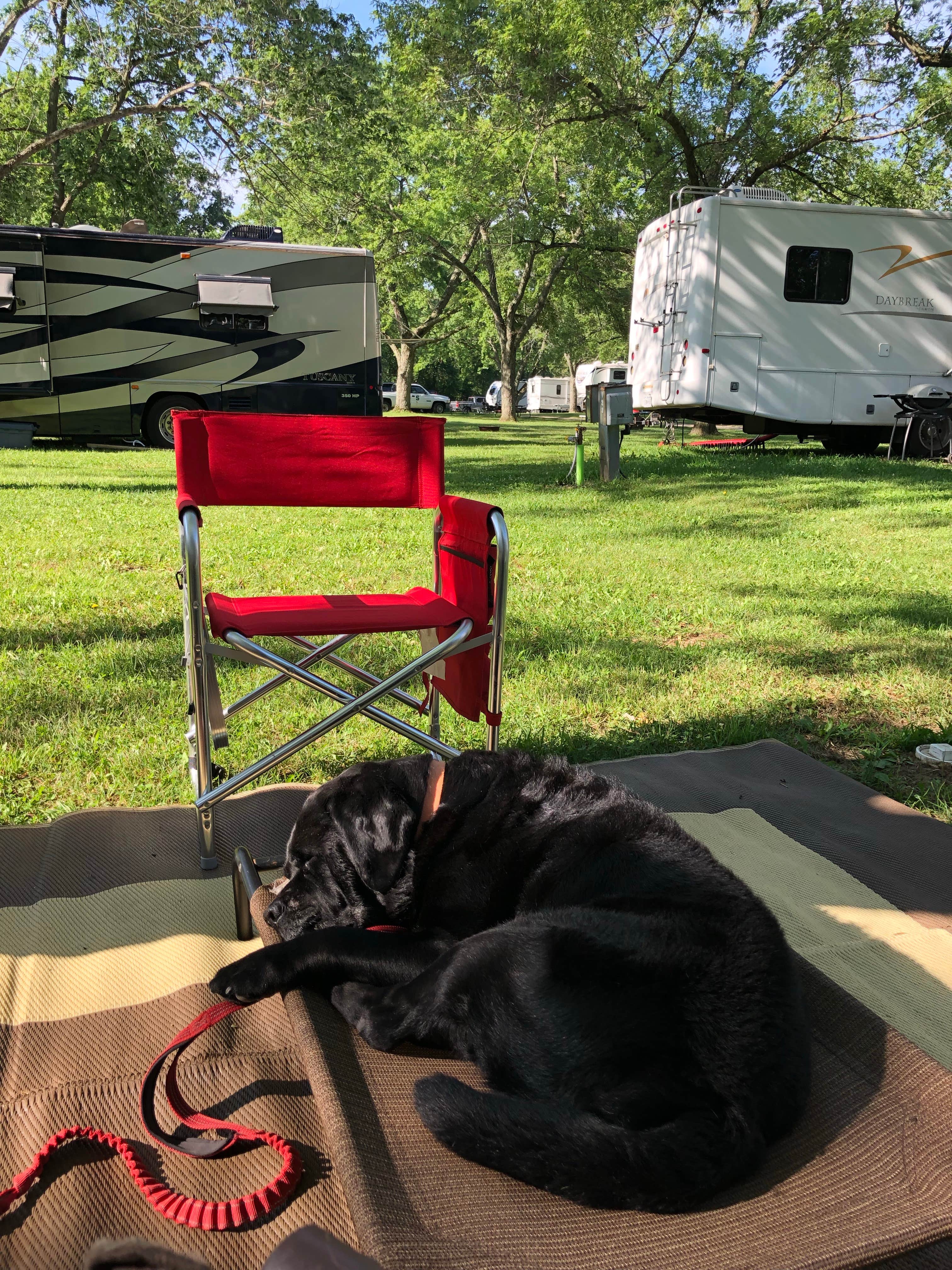 Brenda L.'s photo of rv camping at Moscow Maples RV Park near Jerome, MI