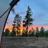 Review photo of Tom Best Spring Road FR117 Dispersed - Dixie National Forest by Gabby & Brian V., July 22, 2021