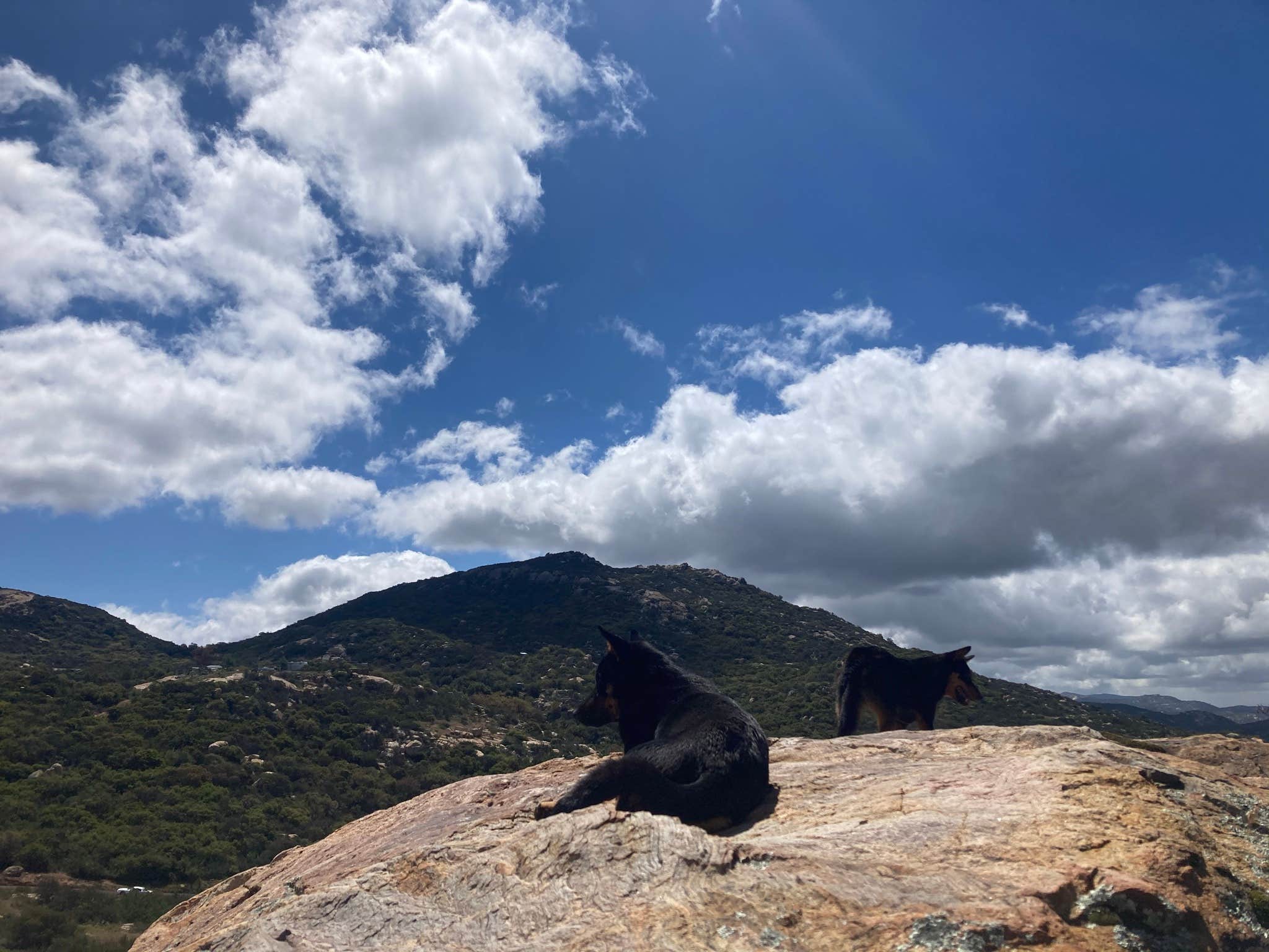 Camping near Shepherd's Trail Catholic Campground: Sweetwater Ranch, Dulzura, California