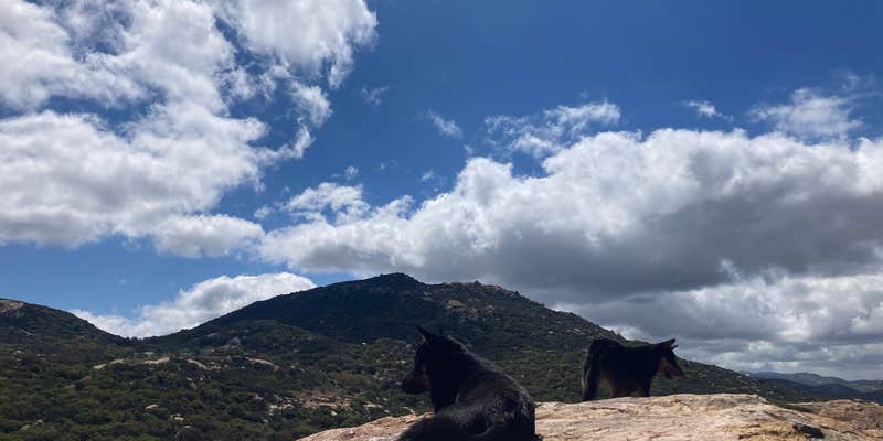 Camper submitted image from Sweetwater Ranch