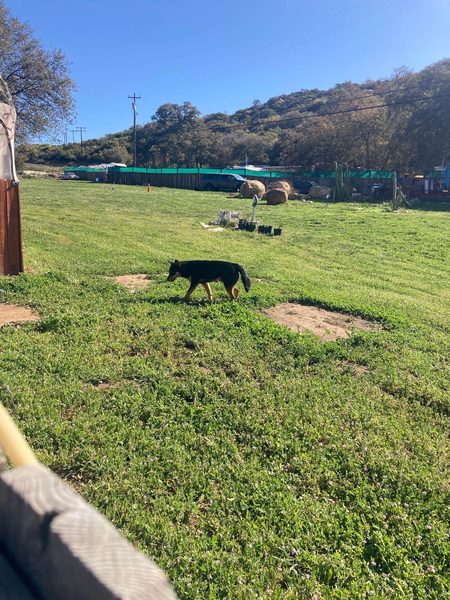 Elwood's photo of camping with pets at Sweetwater Ranch near Spring Valley, CA