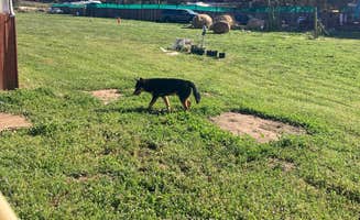Elwood's photo of camping with pets at Sweetwater Ranch near El Cajon, CA
