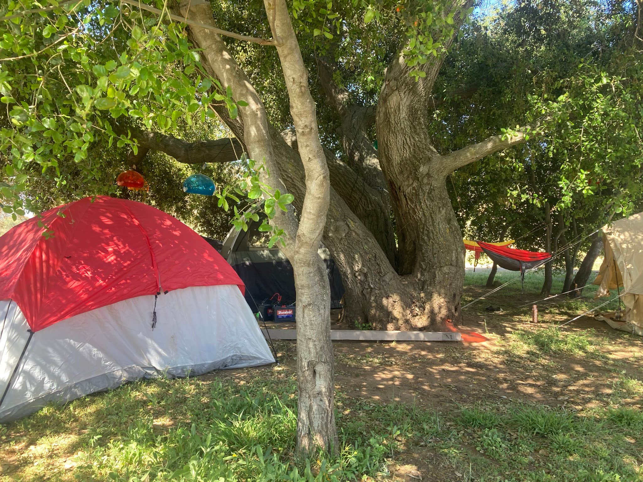 Camper submitted image from Sweetwater Ranch - 5