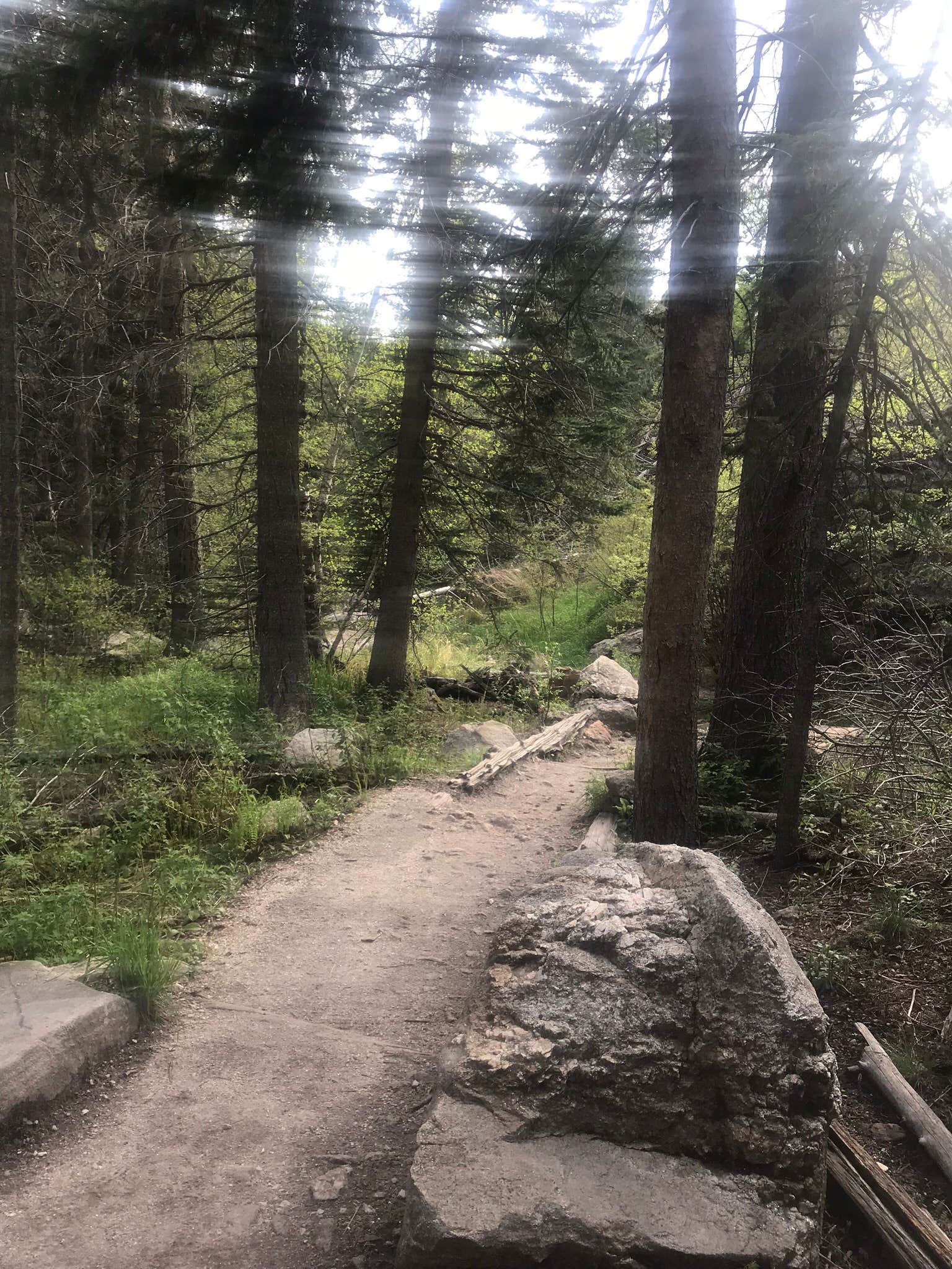 Camper submitted image from Beaver Lake Campground - 4