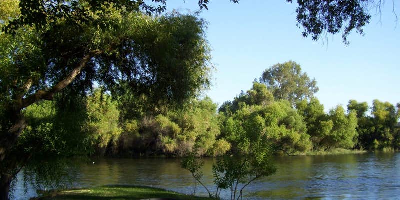 Camper submitted image from Kings River RV Resort