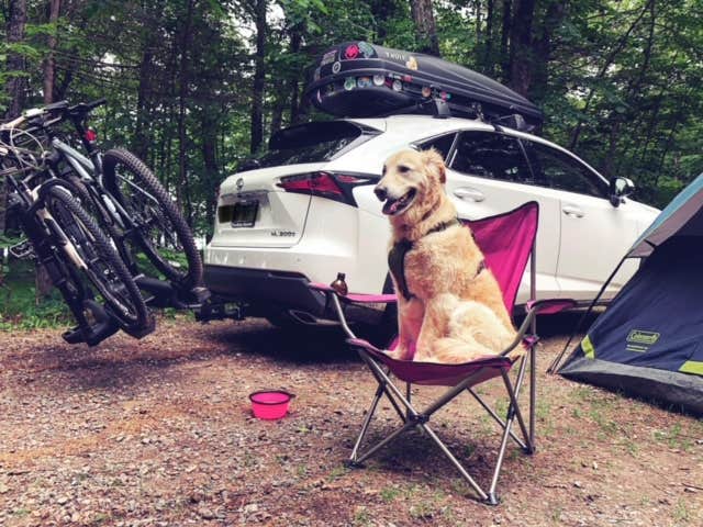 Marta S.'s photo of camping with pets at Namekagon Lake Campground near Cable, WI