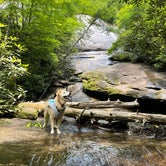 Review photo of Panthertown Valley Backcountry Area by Marta S., July 23, 2021