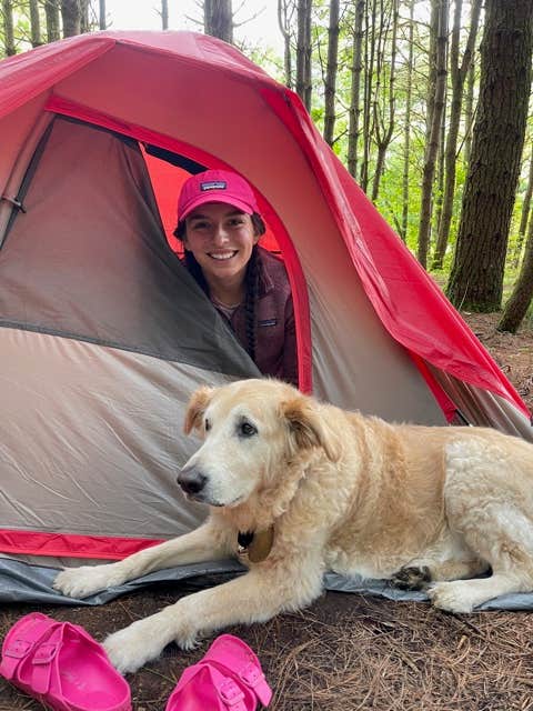 Marta S.'s photo at Panthertown Valley Backcountry Area near Tuckasegee, NC
