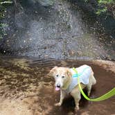 Review photo of Panthertown Valley Backcountry Area by Marta S., July 23, 2021