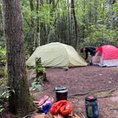 Review photo of Panthertown Valley Backcountry Area by Marta S., July 23, 2021