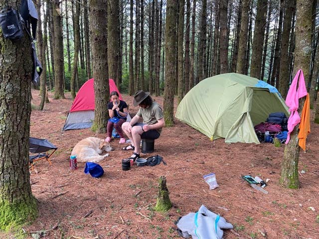 Marta S.'s photo at Panthertown Valley Backcountry Area near Lake Toxaway, NC