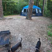 Review photo of Crowley's Ridge State Park Campground by Kim M., July 23, 2021