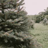 Review photo of Heritage Farms by Connor W., July 23, 2021