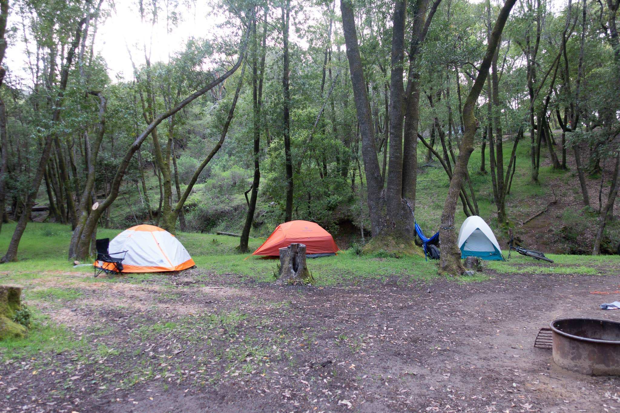 Camper submitted image from China Camp State Park Campground - 2