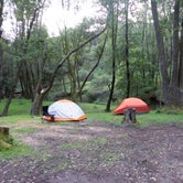 Review photo of China Camp State Park Campground by Nathaniel S., July 24, 2021