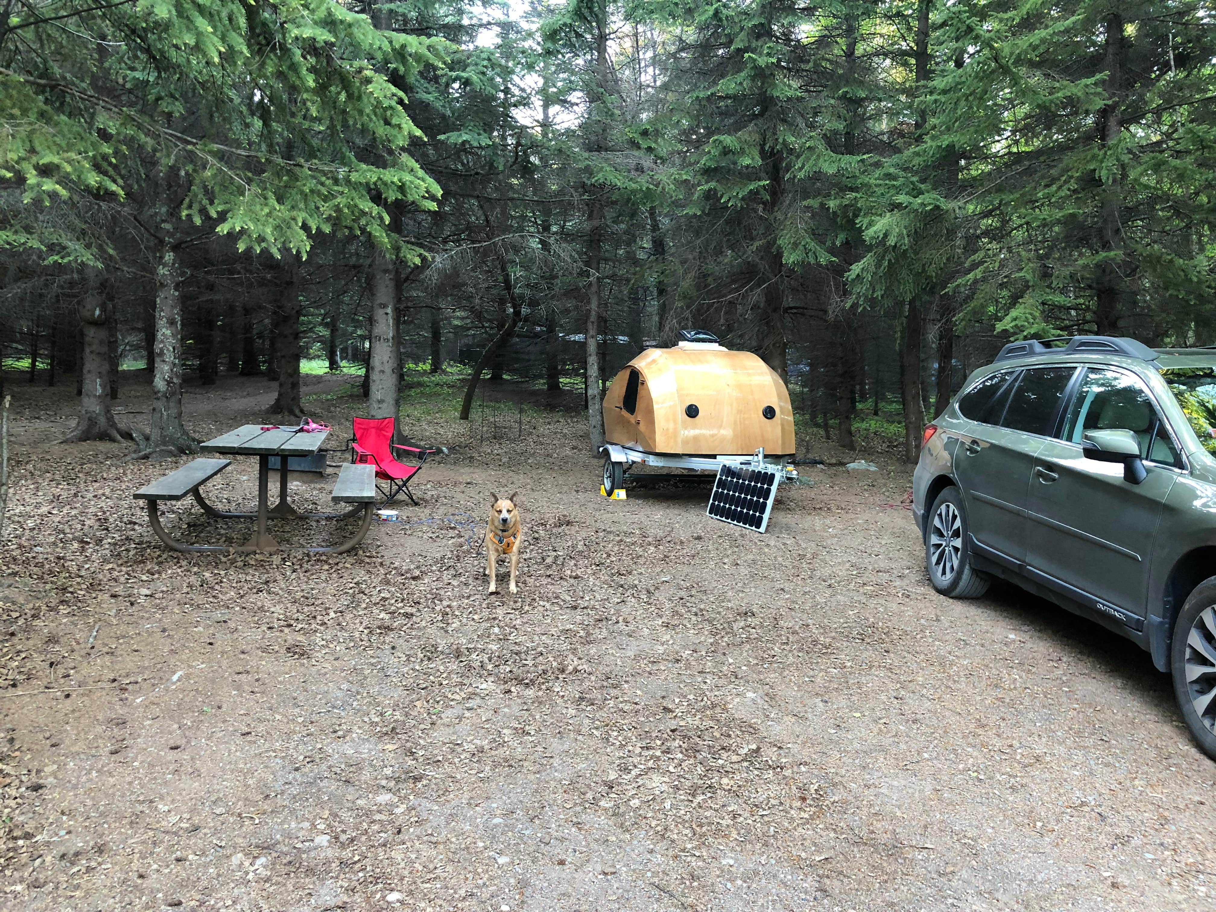 Art S.'s photo at Cascade River State Park Campground near Grand Marais, MN