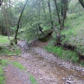 Review photo of China Camp State Park Campground by Nathaniel S., July 24, 2021