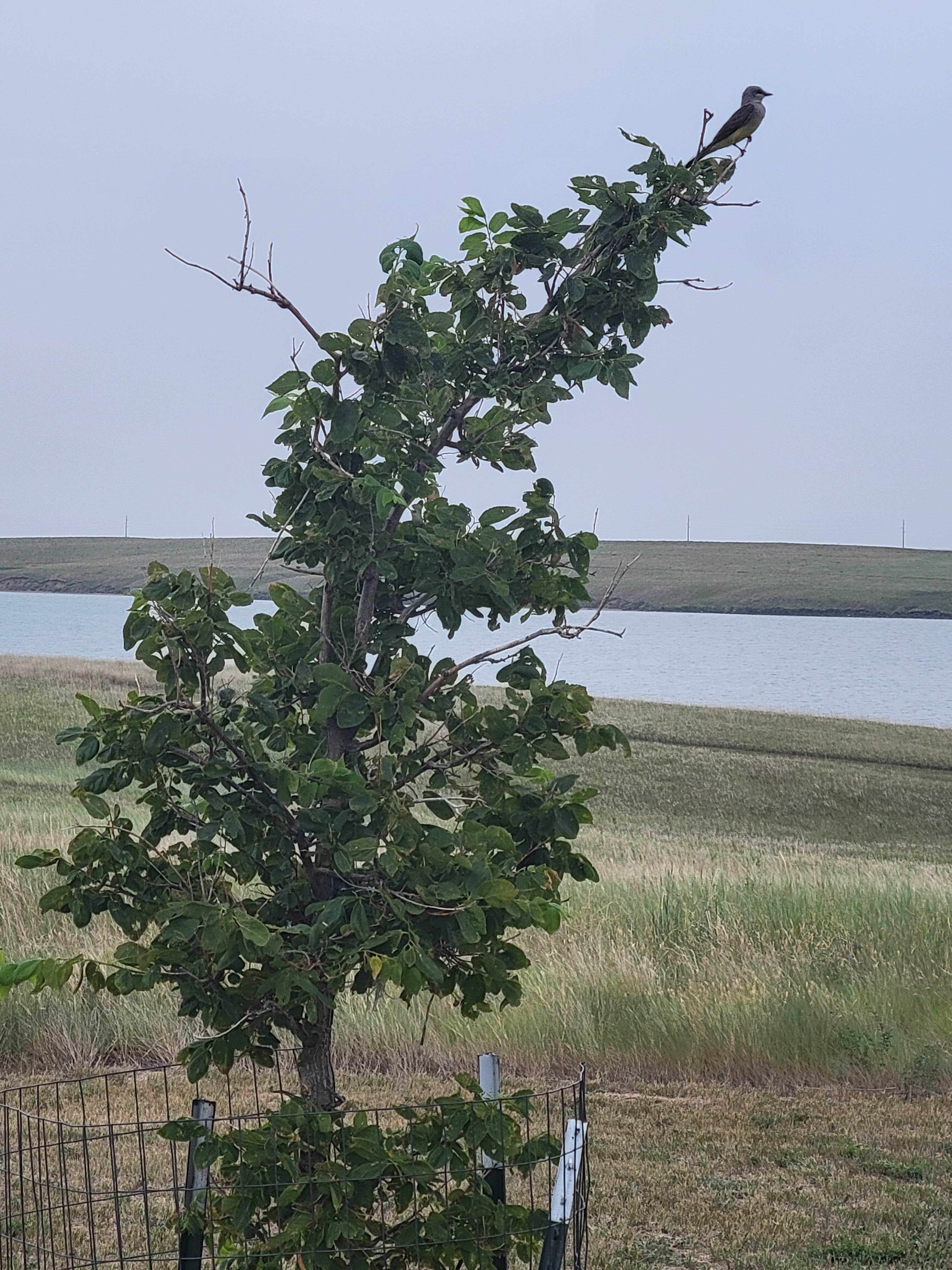 Camper-submitted photo at Brush Lake State Park Campground near Epping, ND