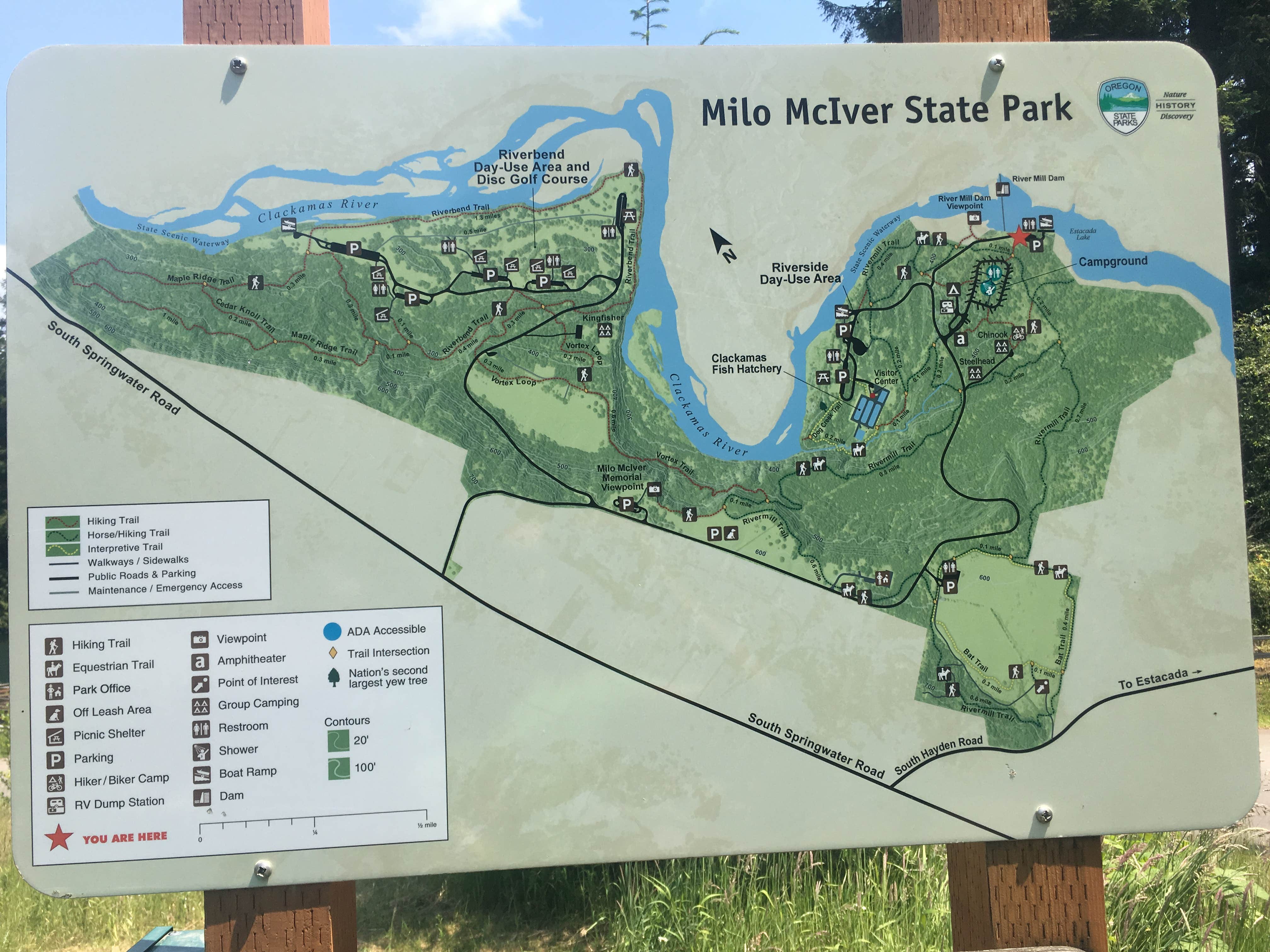 Camper submitted image from Milo McIver State Park Campground - 5