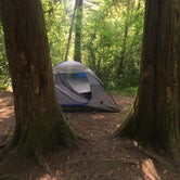 Review photo of Milo McIver State Park Campground by Kyla M., June 15, 2018