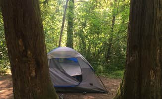 Kyla M.'s photo at Milo McIver State Park Campground near Beaverton, OR