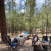 Review photo of Jemez Falls Campground by Katriza L., July 24, 2021