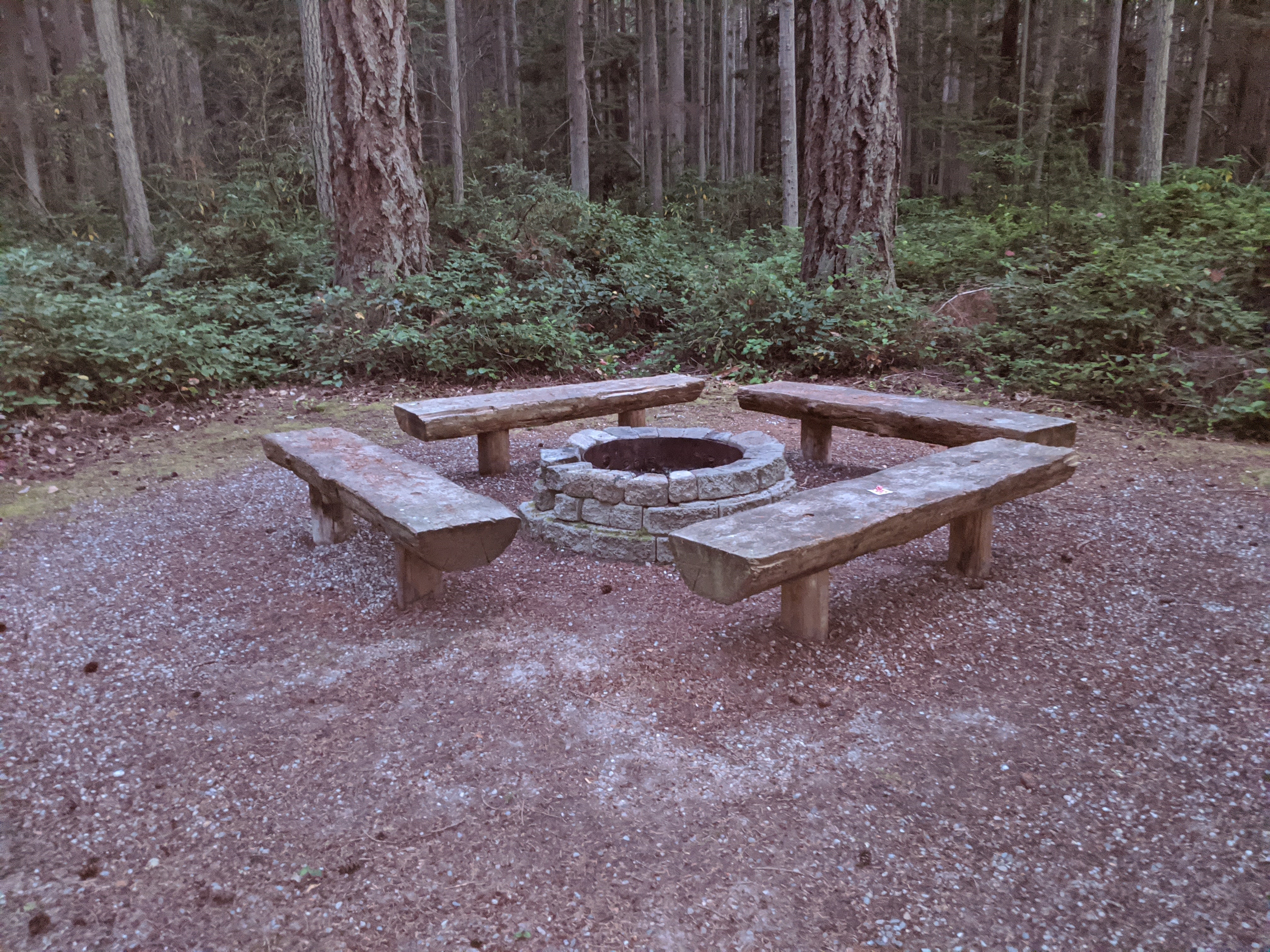 Camper submitted image from Rhododendron Campground - 3