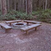 Review photo of Rhododendron Campground by Marc G., July 24, 2021