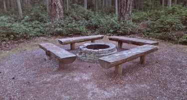 Rhododendron Campground