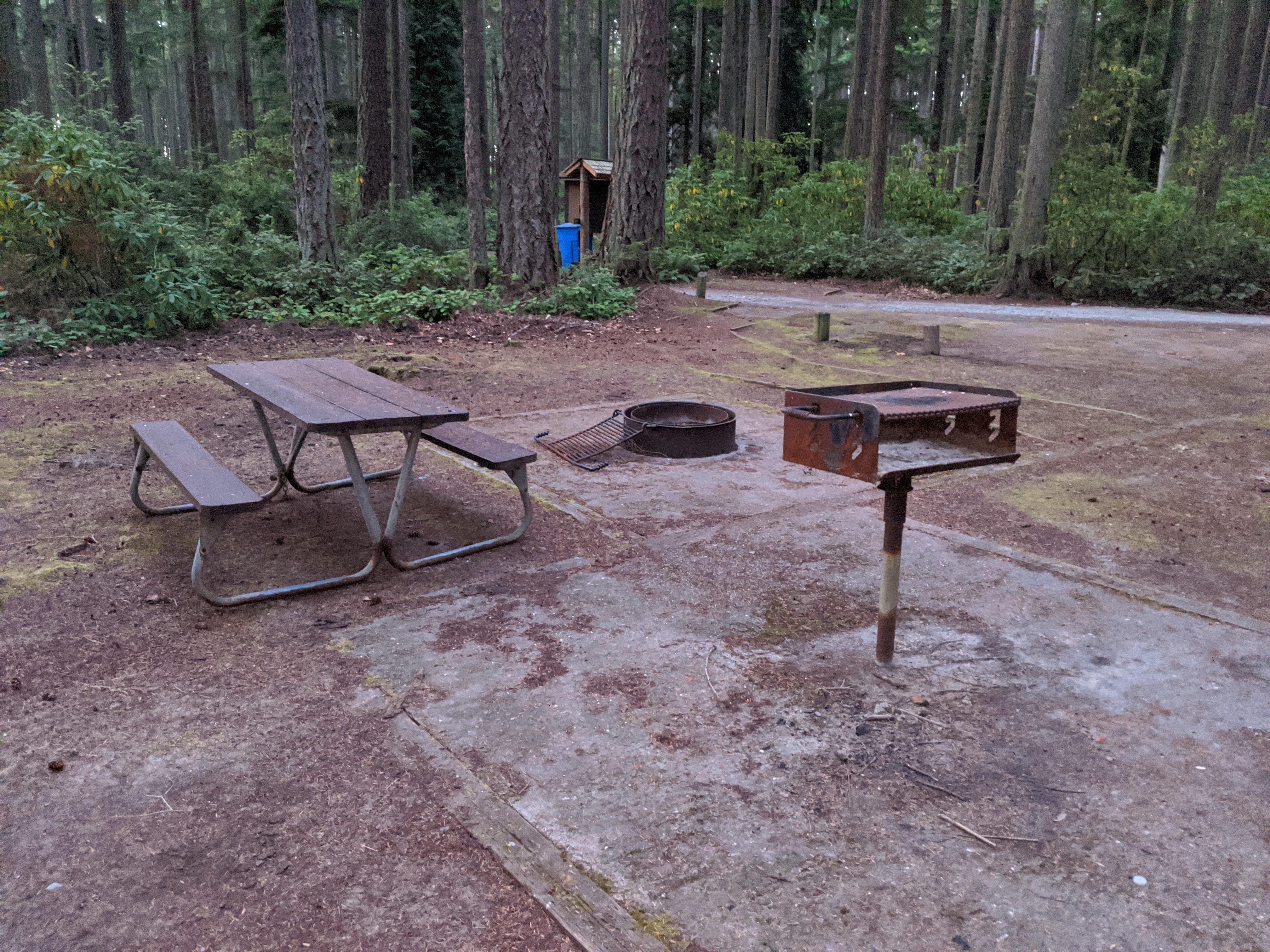 Camper submitted image from Rhododendron Campground - 2