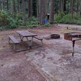 Review photo of Rhododendron Campground by Marc G., July 24, 2021