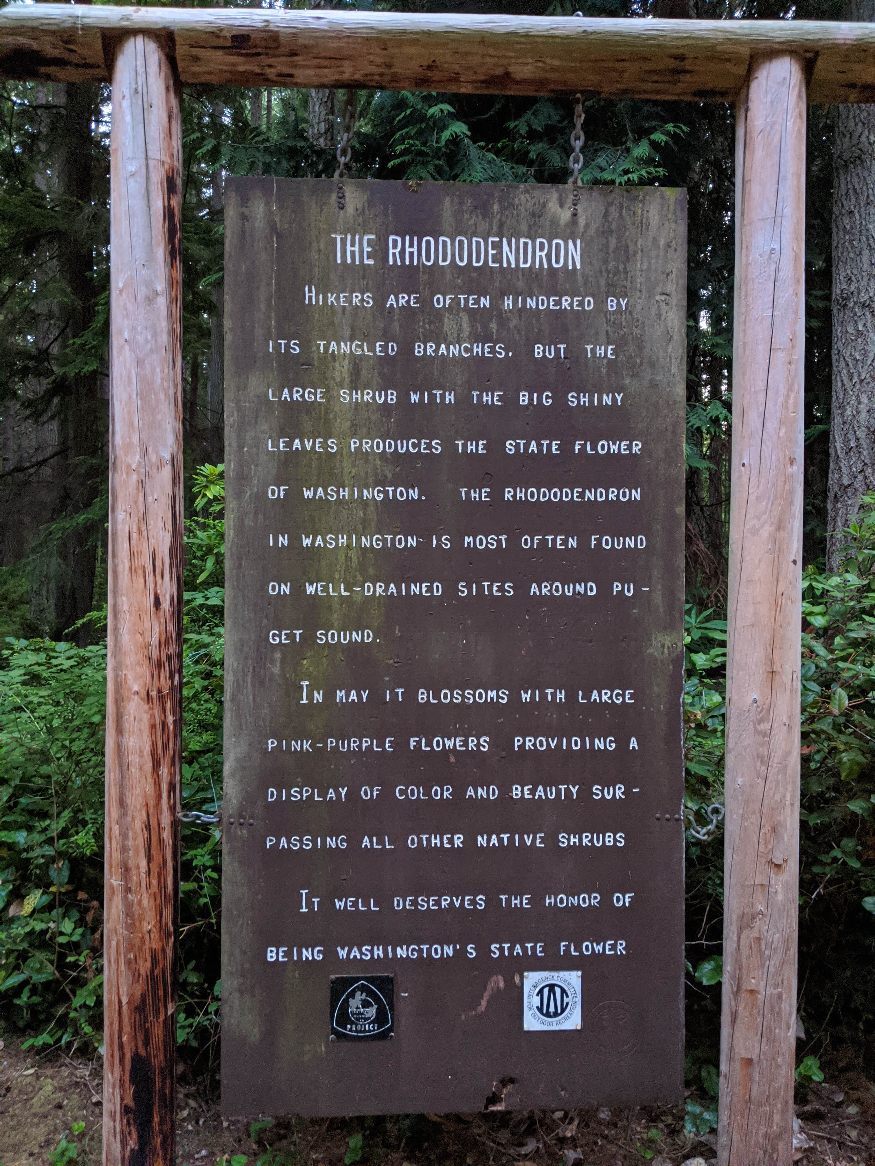 Camper submitted image from Rhododendron Campground - 4