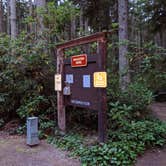 Review photo of Rhododendron Campground by Marc G., July 24, 2021