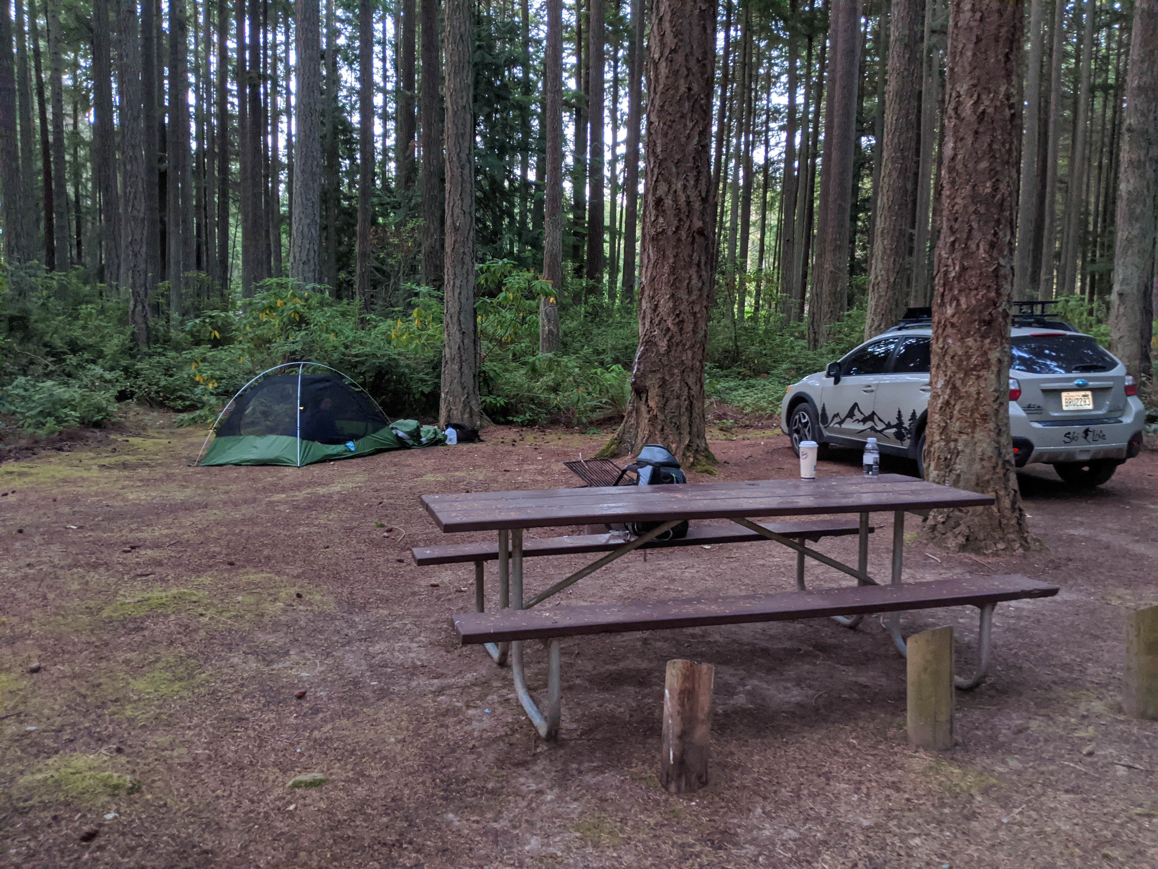 Marc G.'s photo at Rhododendron Campground near Stanwood, WA