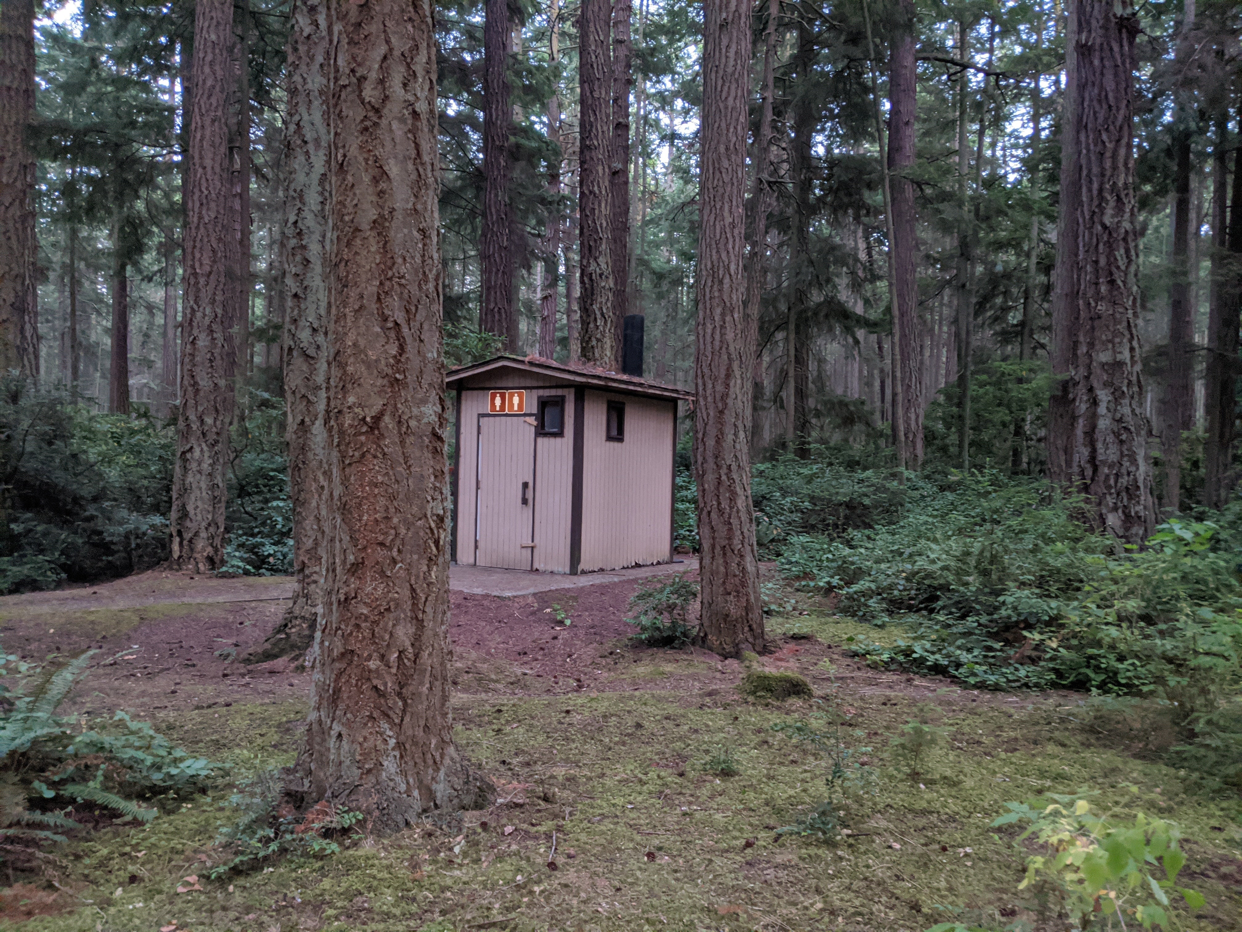 Camper submitted image from Rhododendron Campground - 5